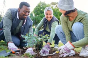 people planting trees together